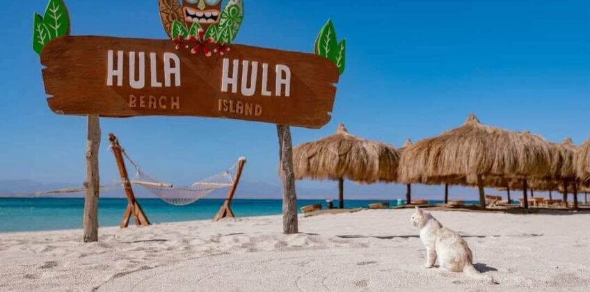 WhatsApp Image 2025-12-17 at 6.33.14 PM (1)