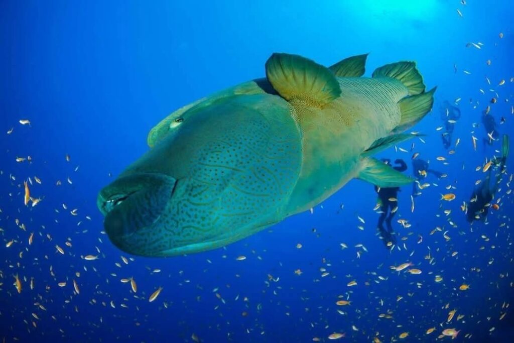 WhatsApp Image 2025-12-17 at 6.44.12 PM