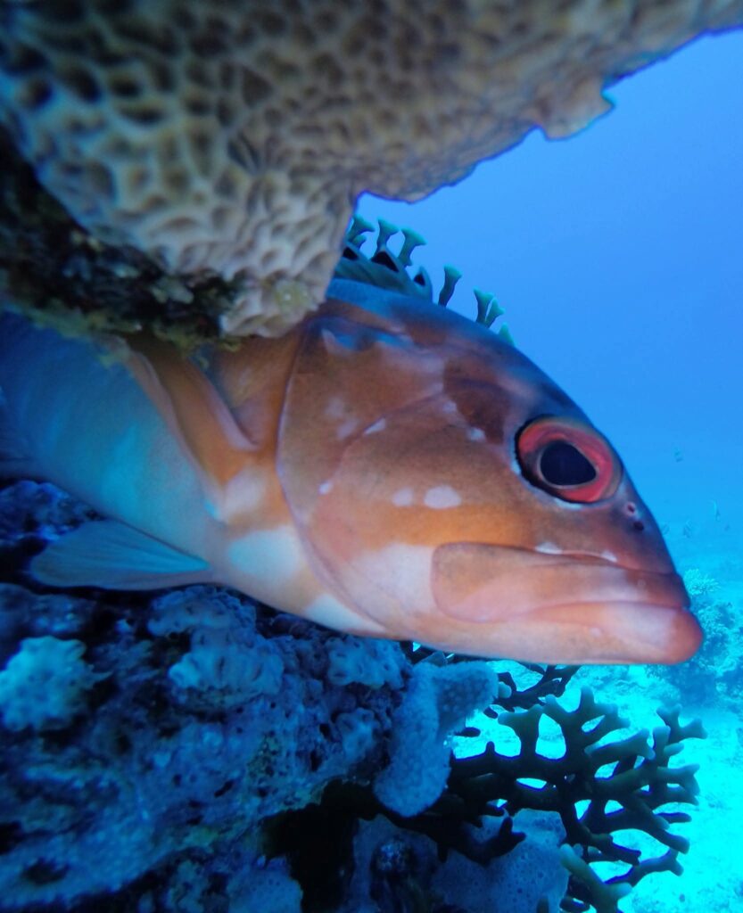 WhatsApp Image 2025-12-17 at 6.44.13 PM