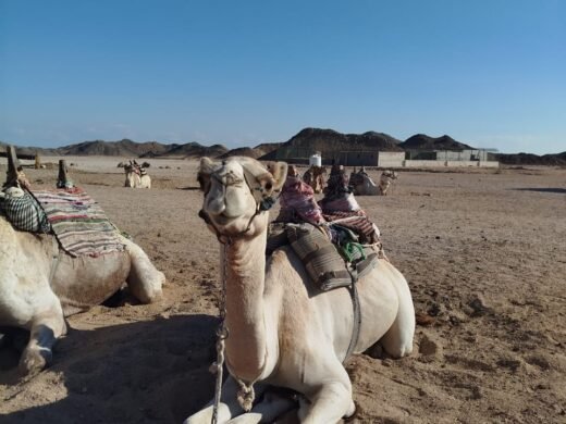 WhatsApp Image 2025-12-21 at 2.24.48 PM