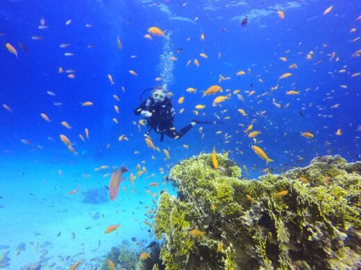 Tauchausflug Hurghada
