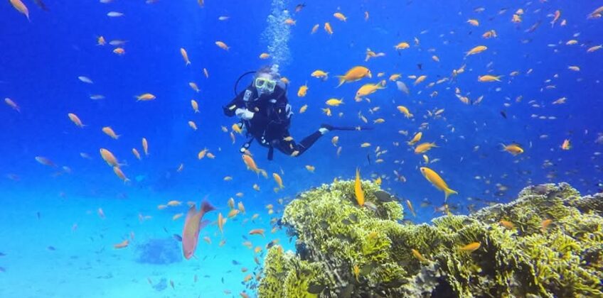 Tauchausflug Hurghada