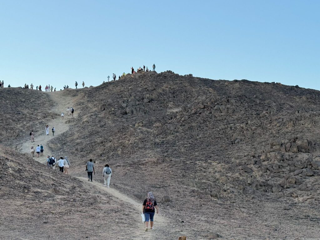 WhatsApp Image 2025-12-21 at 3.09.45 PM