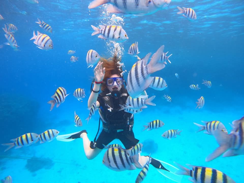 Scuba diver wearing a mask and gear swimming in clear blue water surrounded by a school of Sergeant Major fish. Hurghada fun trips