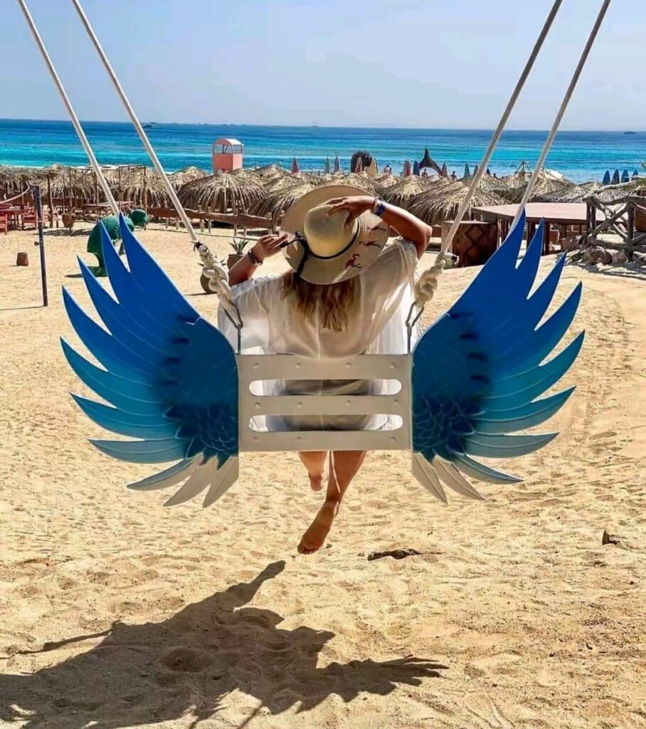 WhatsApp Image 2025-12-21 at 2.24.50 PM